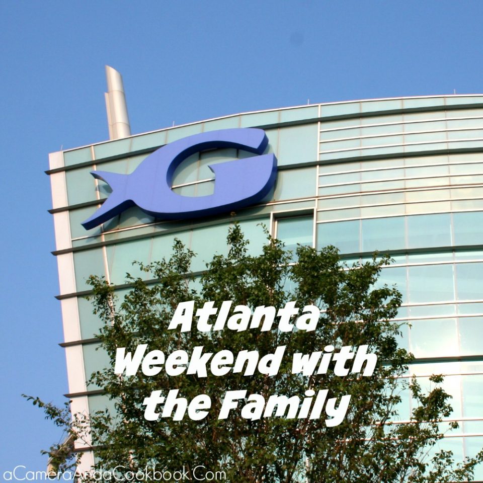 Atlanta Weekend with the Family