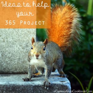 Ideas to Help your 365 Project be a Good One