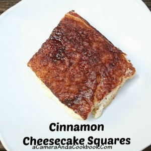Cinnamon Cheesecake Squares (SQ)