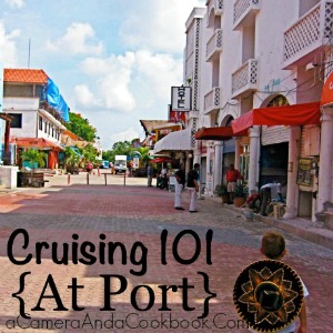 Cruising101_At_Port
