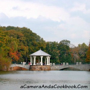 5 Things to See at Piedmont Park Atlanta, GA