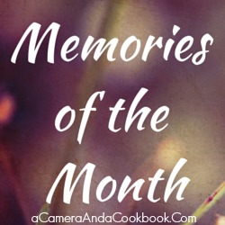 Memories of the Month - Taking time to document the important memories from January.