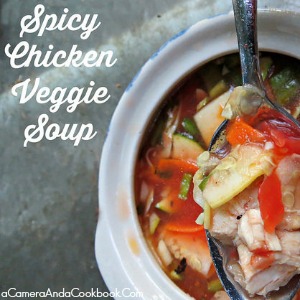 Spicy Chicken Veggie Soup {Crockpot}