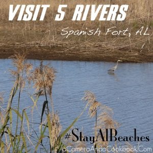 Visit 5 Rivers #StayAlBeaches