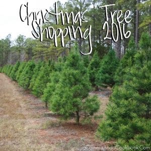 Christmas Tree Shopping 2016
