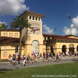 Spring Training - Read about our experience going on a Spring Training baseball trip in Florida.