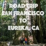 West Coast Trip Day 5 - San Francisco to Eureka, CA - Golden Gate Bridge - Wine Country - Redwoods