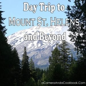 Day Trip to Mount St. Helens