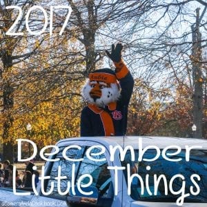 December Little Things 2017