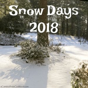 Snow Days 2018