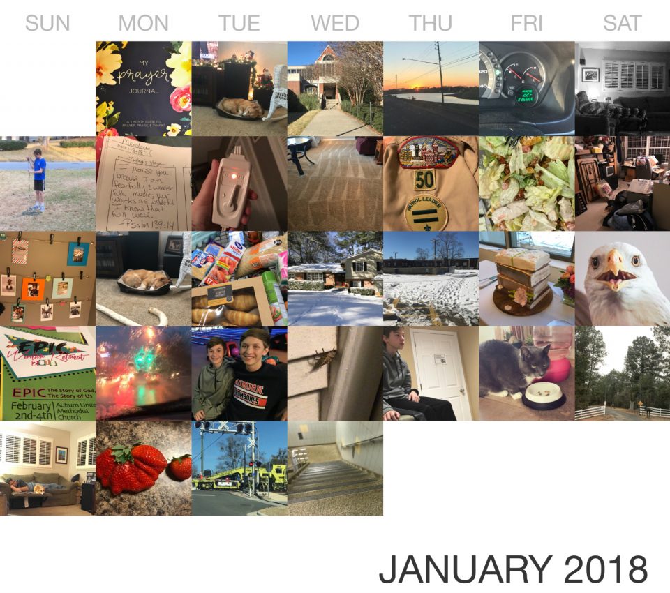 January - 365 Pics Calendar