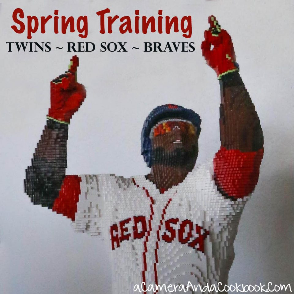 Spring Training Trip :: Twins ~ Red Sox ~ Braves