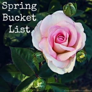Spring Bucket List 2018