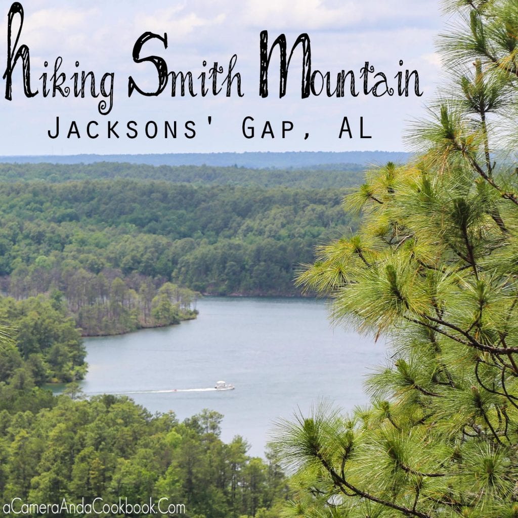 Hiking Smith Mountain - Jacksons' Gap, AL