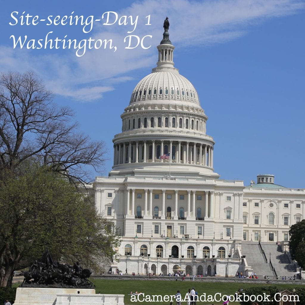 Site-Seeing Washington, DC