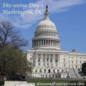 Site-Seeing Washington, DC