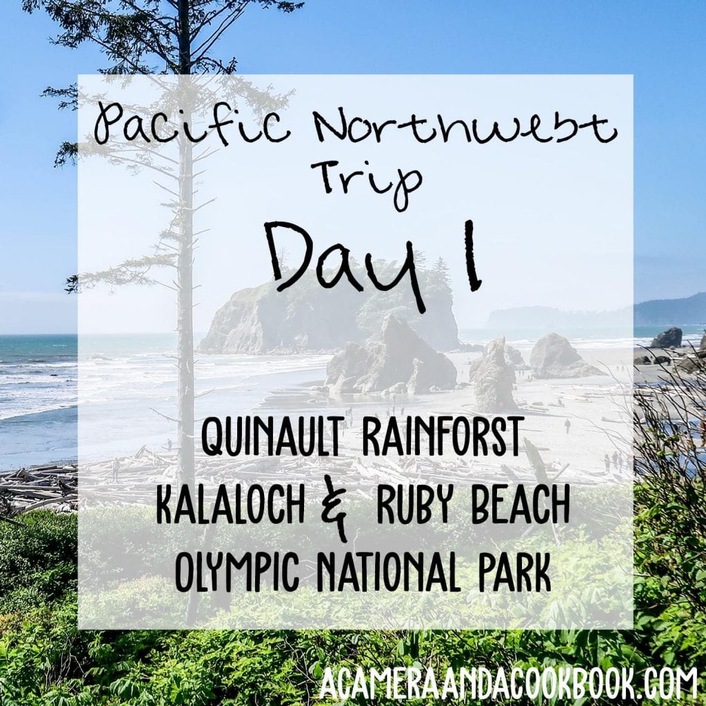 Pacific Northwest Trip - Day 1 Quinault Rainforest, Kalaloch & Ruby Beach, and Olympic National Park