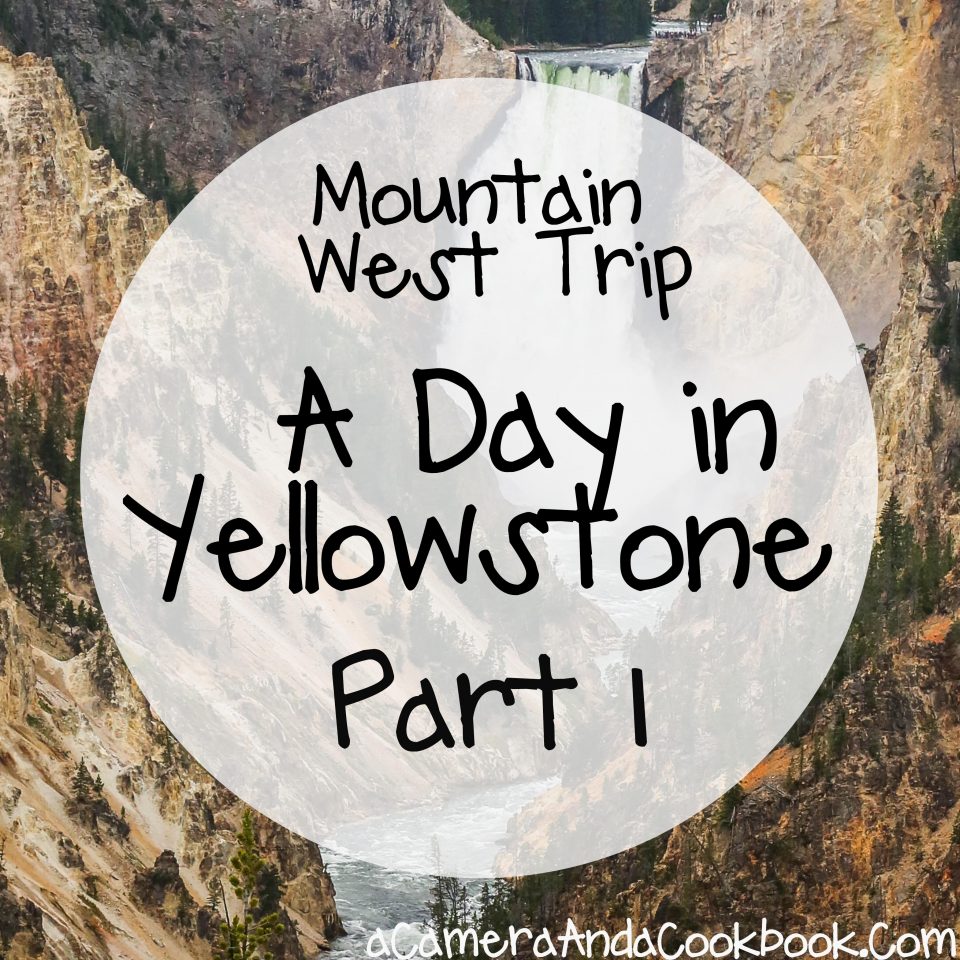 Mountain West Trip:Day in Yellowstone-Part 1