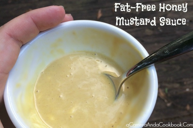 Fat-Free Honey Mustard Sauce