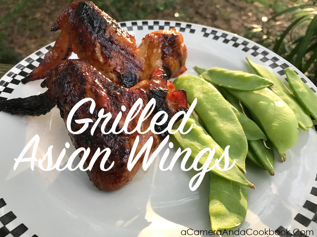 Grilled Asian Chicken Wings