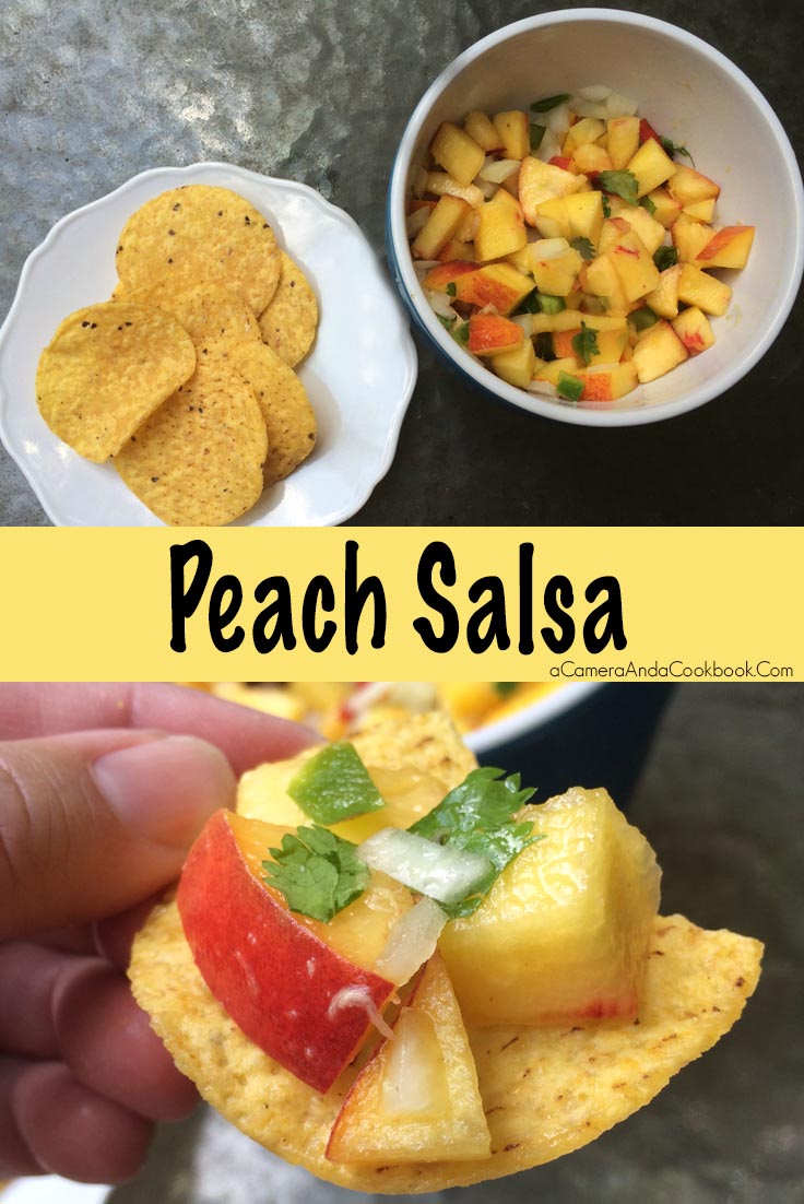 Peach Salsa - Looking for a use for all the extra peaches you have left?  This Peach Salsa is a great remedy for that issue.  You will buy more peaches just so you can make more of this yummy twist on salsa.