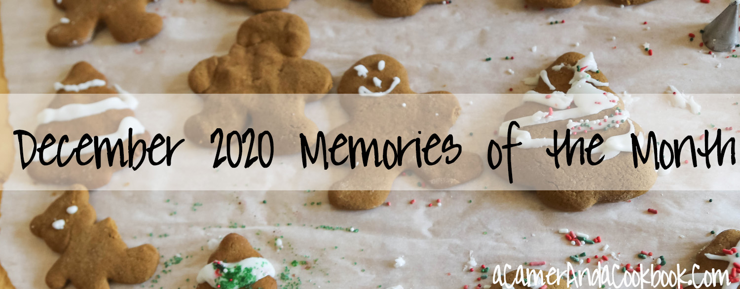 Memories of the Month - Here's a great idea for wrapping up the month with a set of questions to remember how your last month with.  I love going back and reading through what happened throughout the years.