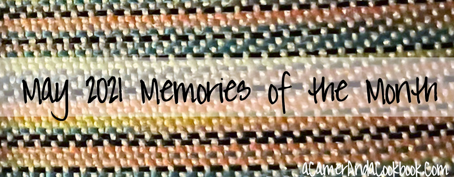 Memories of the Month - Here's a great idea for wrapping up the month with a set of questions to remember how your last month with.  I love going back and reading through what happened throughout the years.
