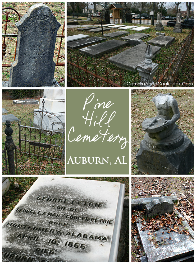 Pine Hills Cemetery - Rooted in Auburn's History
