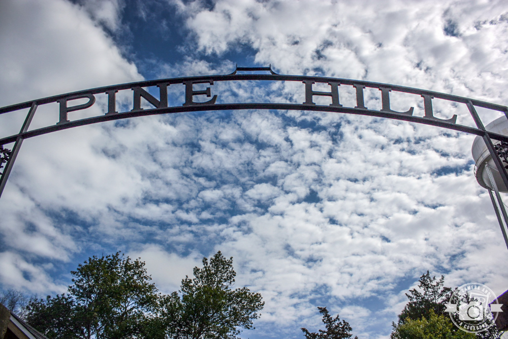 Pine Hills Cemetery - Rooted in Auburn's History