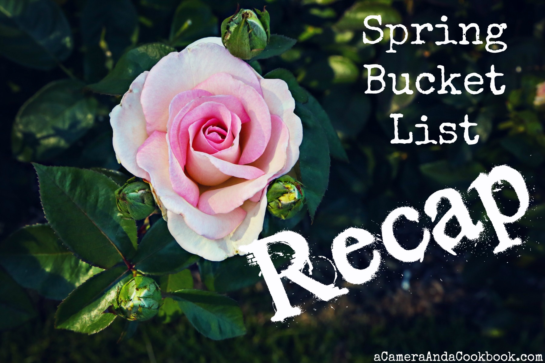 Spring Bucket List Recap 2018 - What did you do this spring?