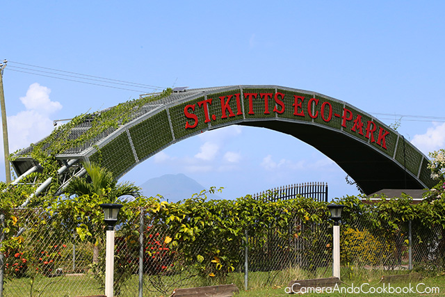 Driving through St. Kitts