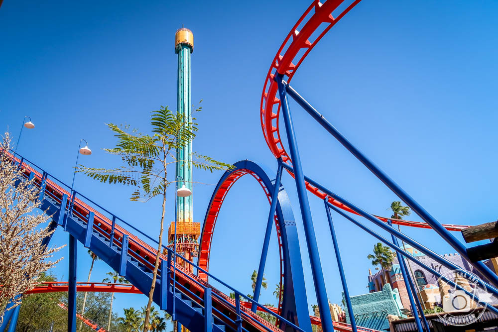 Tigris POV On Ride - Busch Gardens Tampa - Front & Backwards 