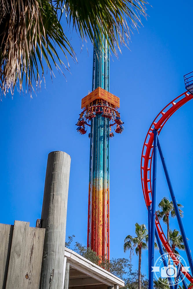 Ranking Every Busch Gardens Tampa Bay Roller Coaster