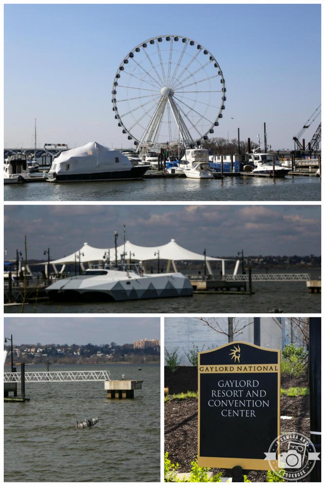 Fun Day in National Harbor, MD