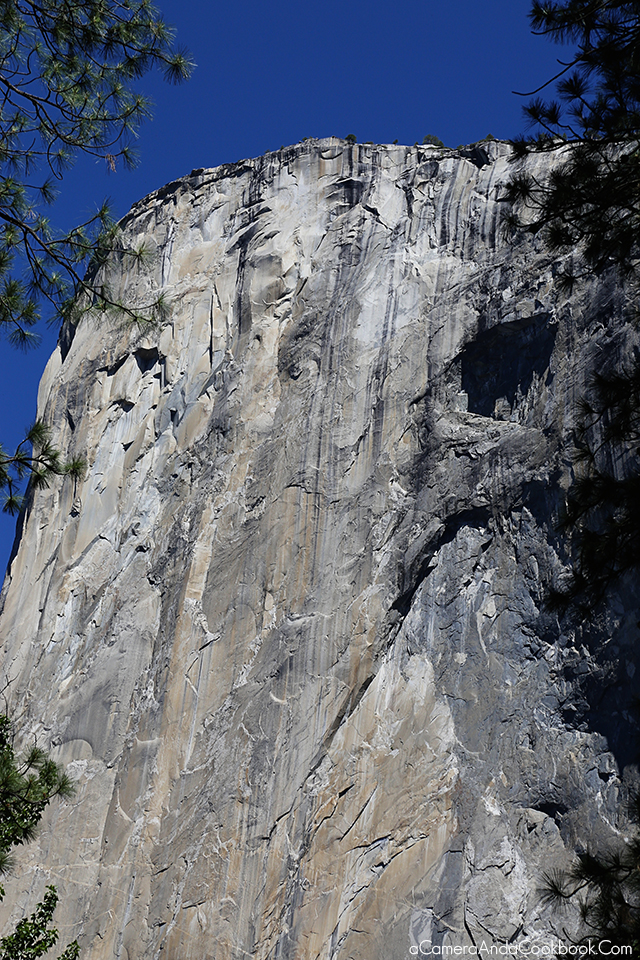 West Coast Trip - Day 2 - Yosemite Day