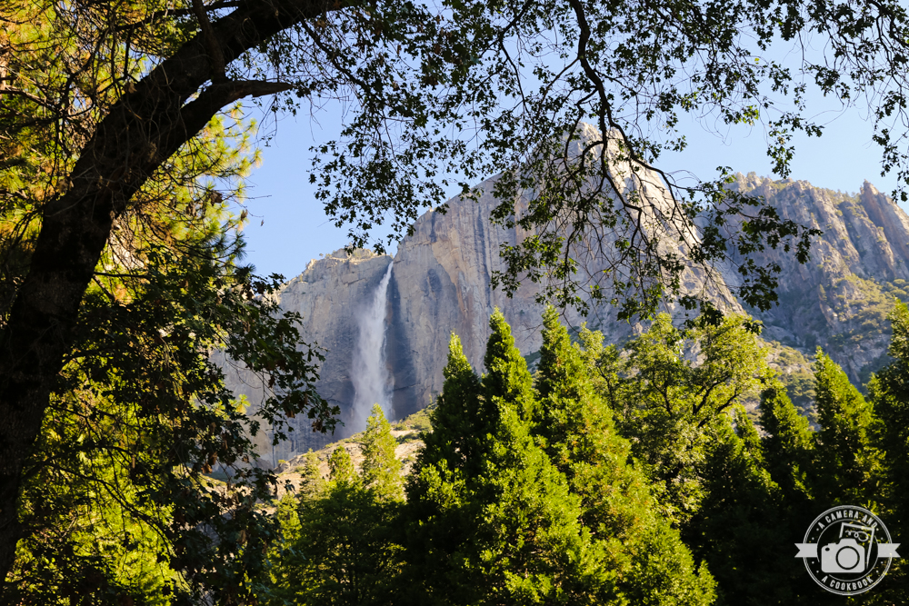 West Coast Trip:Day 3 - Yosemite