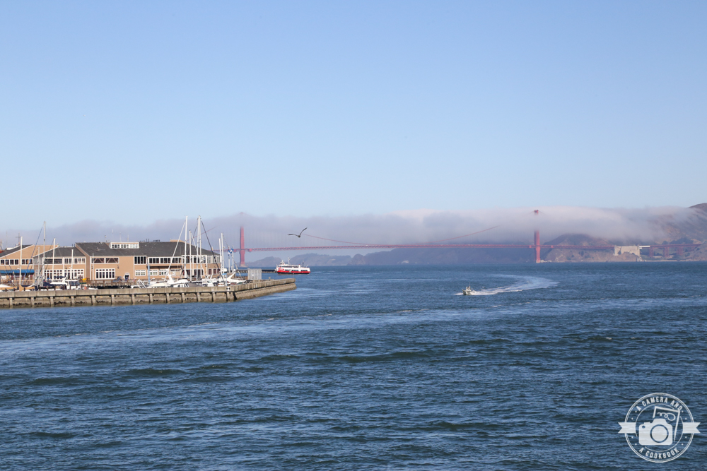 West Coast Trip:Day 4 - San Francisco