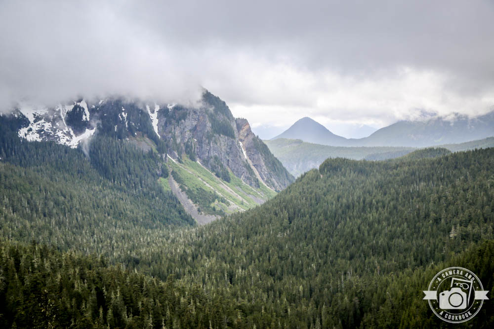 Pacific Northwest Trip: University of Washington Tour & Mount Rainier National Park