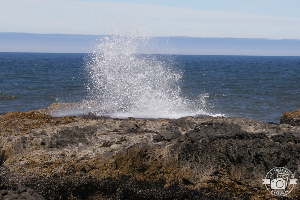 West Coast Trip:Day 8 - Dune ATVS - Sea Lion Caves - Thor's Well - Newport