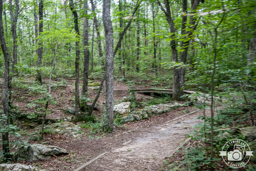 Green Mountain Nature Trail in Huntsville, AL