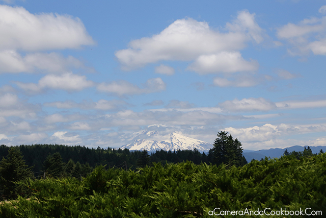 Majestic Mount Hood - Oregon
