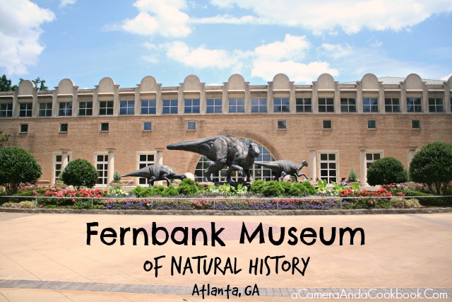 Fernbank Museum of Natural History - Atlanta, GA