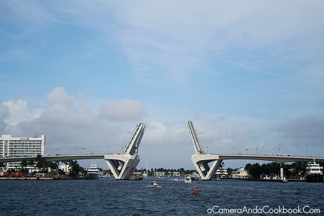 Fort Lauderdale Riverfront Cruise