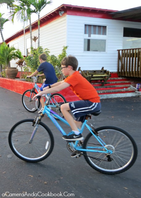 Bike riding in Everglades City