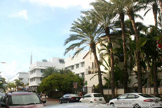 Afternoon in South Beach