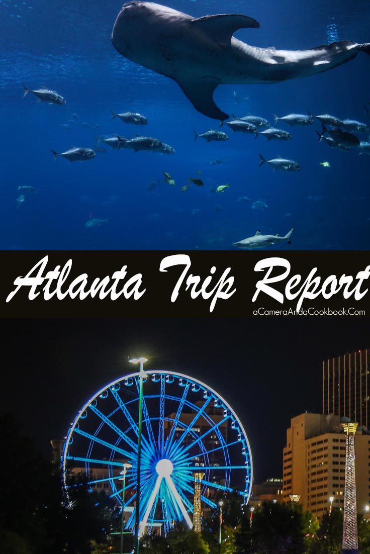 Atlanta Trip Report - Read about a short stay in Downtown Atlanta.