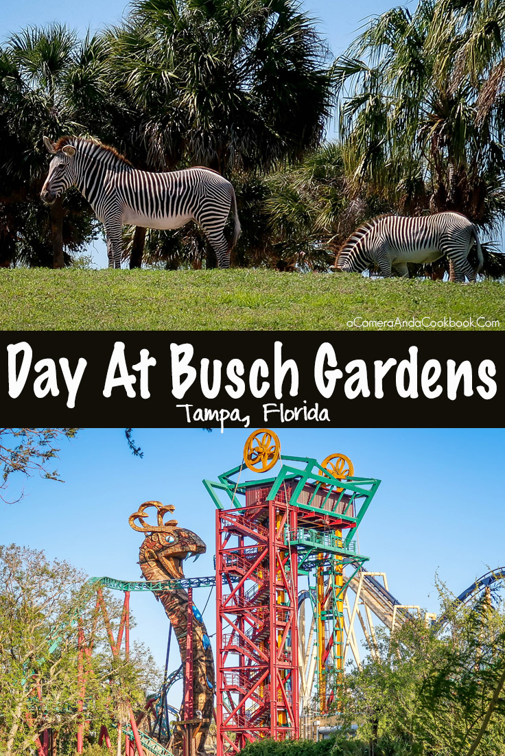 Busch Gardens-Tampa - Obligatory Traveler