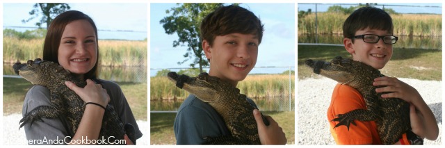 Everglades Airboat Tour and Gator Show